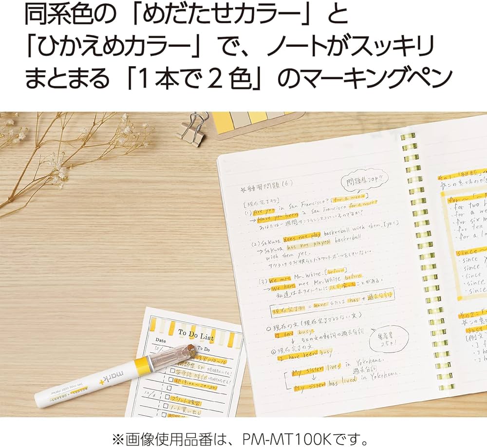 KOKUYO PM-MT100-10S-L1 Highlighter, 2 Tone Color Markers